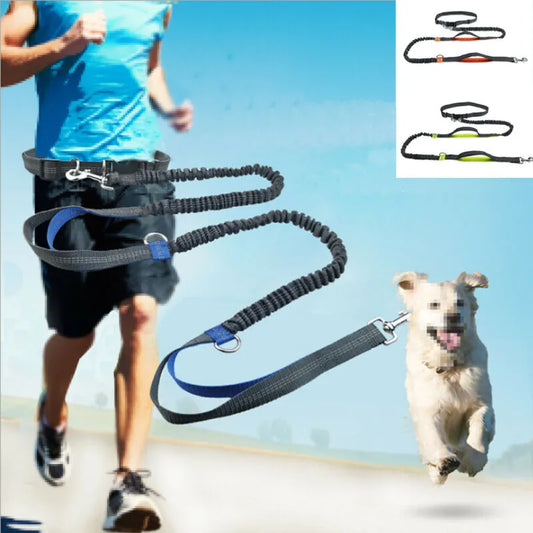 Dog Leash Traction Rope Running Belt Reflective