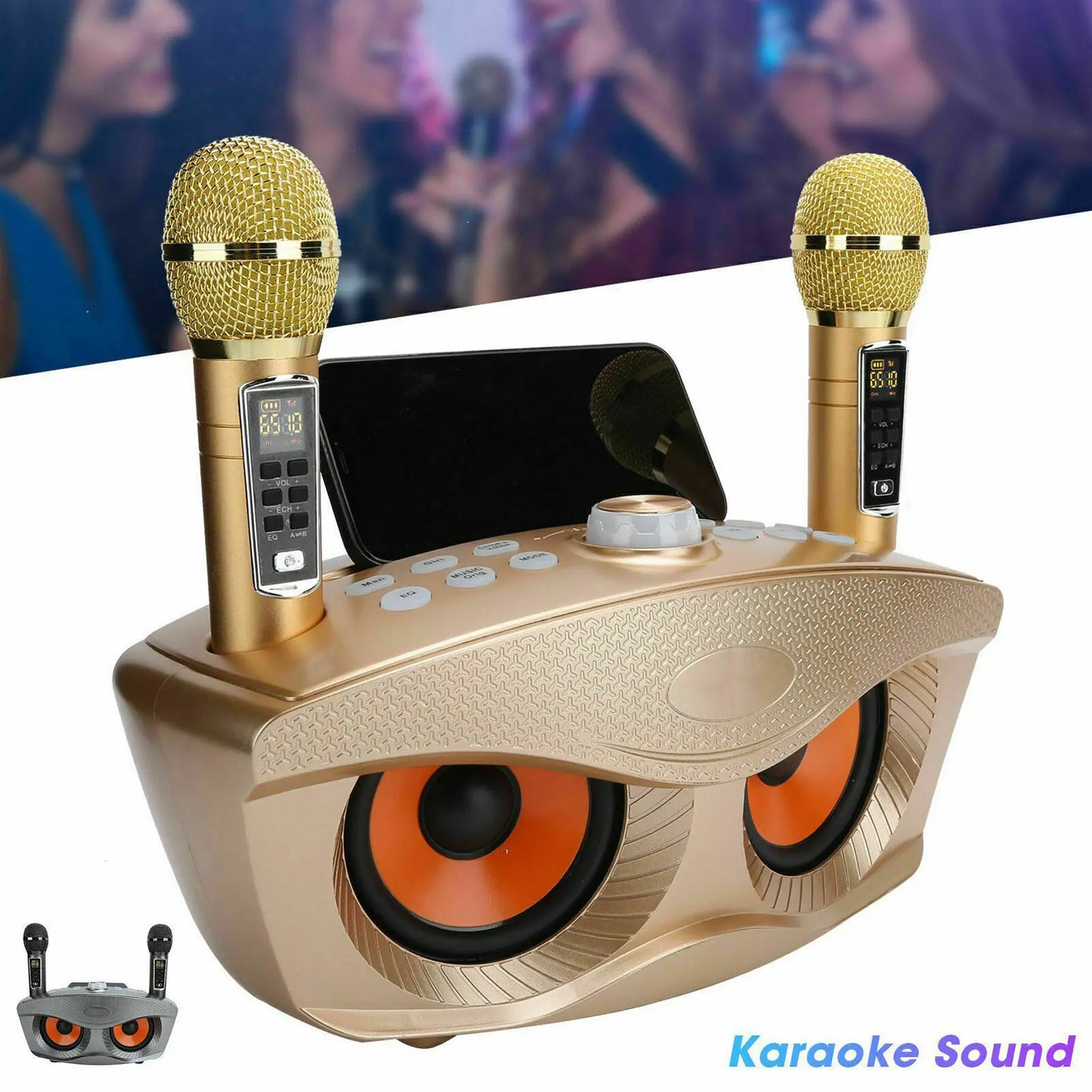 Professional Karaoke Machine Wireles Bluetooth Speaker With Dual Mic