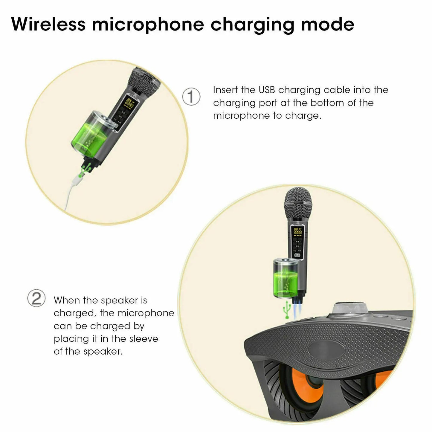 Professional Karaoke Machine Wireles Bluetooth Speaker With Dual Mic